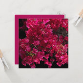 Bougainvillea Red Tropical Vining Shrub Foto Karte (Vorderseite/Rückseite Beispiel)