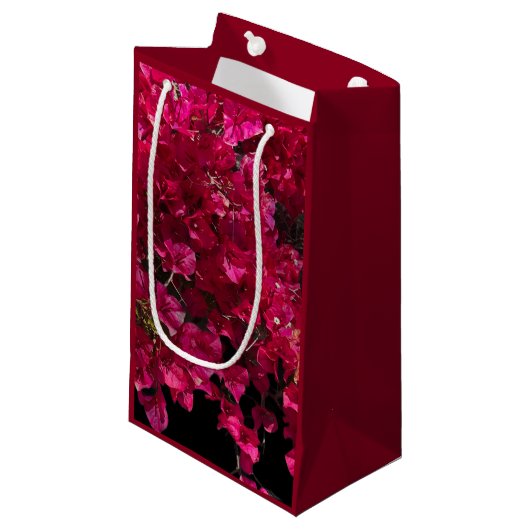 Bougainvillea Red Tropical Vining Shrub Foto Kleine Geschenktüte (Vorderseite Schrägansicht)
