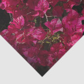 Bougainvillea Red Tropical Vining Shrub Foto Seidenpapier (Ausschnitt)