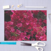 Bougainvillea Red Tropical Vining Shrub Foto Seidenpapier (Handwerk)