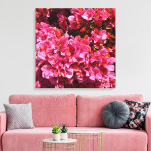 Bougainvillea Rosa Tropischer Kletterstrauch Foto Leinwanddruck