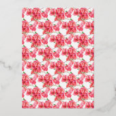 Bougainvillea Rote Koralle rosa, weiße Bräune Mitt Folieneinladung (Rückseite)