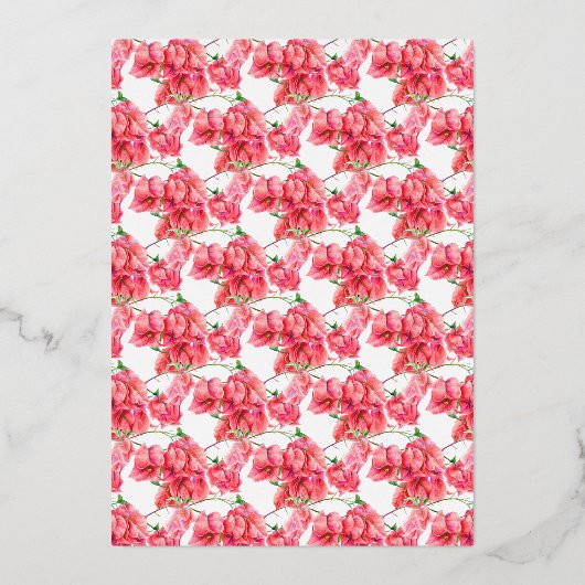 Bougainvillea Rote Koralle rosa, weiße Bräune Mitt Folieneinladung (Rückseite)
