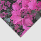 Bougainvillea Tissue Paper Seidenpapier (Ausschnitt)