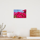 Bougainvillea und Beautiful Blue Sky Poster (Küche)