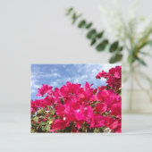 Bougainvillea und Beautiful Blue Sky Postkarte (Stehend Vorderseite)