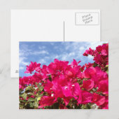 Bougainvillea und Beautiful Blue Sky Postkarte (Vorne/Hinten)