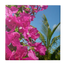 Bougainvillea und Palmen Tropische Natur