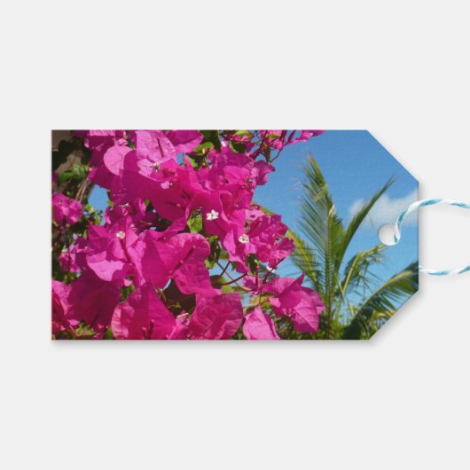 Bougainvillea und Palmen Tropische Natur Geschenkanhänger (Vorderseite (Horizontal))