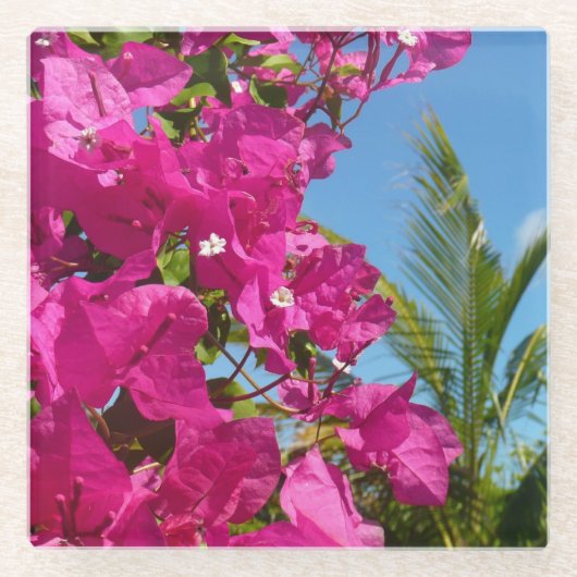 Bougainvillea und Palmen Tropische Natur Glasuntersetzer (Vorderseite)
