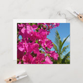 Bougainvillea und Palmen Tropische Natur Karte (Vorderseite/Rückseite Beispiel)