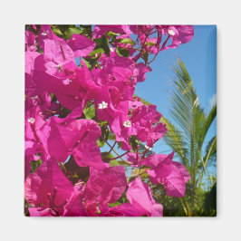 Bougainvillea und Palmen Tropische Natur Magnet