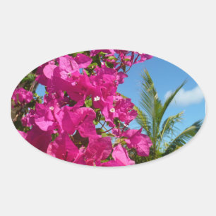 Bougainvillea und Palmen Tropische Natur Ovaler Aufkleber