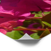 Bougainvillea und Palmen Tropische Natur Poster (Ecke)
