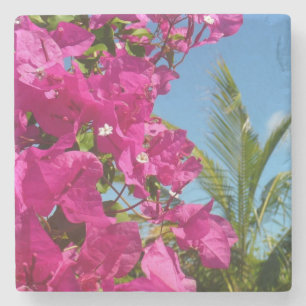 Bougainvillea und Palmen Tropische Natur Steinuntersetzer