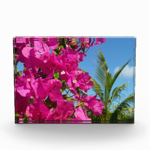 Bougainvillea und Palmenbaum tropische Naturszene Fotoblock