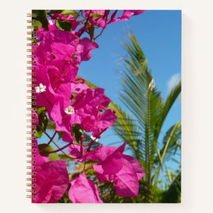 Bougainvillea und Palmenbaum tropische Naturszene Notizblock