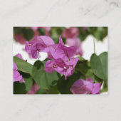Bougainvillea Visitenkartenvorlagen Visitenkarte (Rückseite)