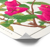 Bougainvillea, Wishbone-Blume von Tanigami Konan Poster (Ecke)