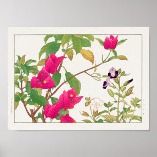 Bougainvillea, Wishbone-Blume von Tanigami Konan Poster