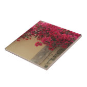 Bougainvilleas auf einem rustikalen Gebäude in Gri Fliese (Seite)