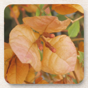 Bouganvilla-Blumen-Untersetzer Getränkeuntersetzer