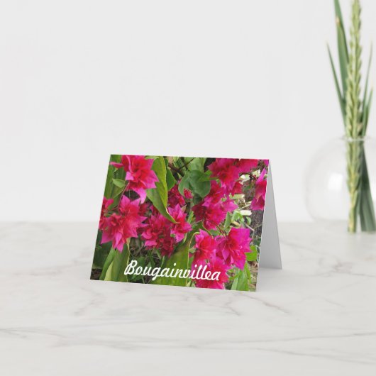 Bouganvilla Notecards Karte (Vorderseite)