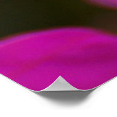 Bouganvilla-Schönheit Poster (Ecke)