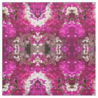 Bouganvilla