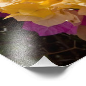 Bouganvilleau, Cayman Brac, Cayman Islands, Fotodruck (Ecke)