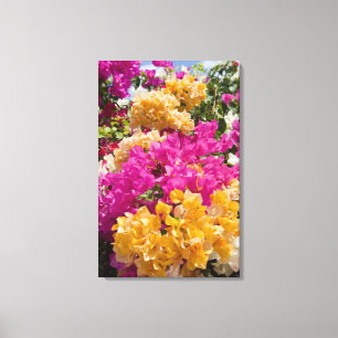 Bouganvilleau, Cayman Brac, Cayman Islands, Leinwanddruck