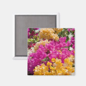 Bouganvilleau, Cayman Brac, Cayman Islands, Magnet (Vorderseite/Rückseite)