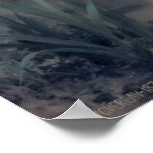 Bouguereau - Au Bord du Ruisseau Poster (Ecke)