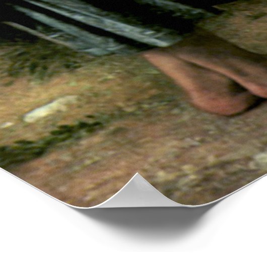 Bouguereau - La Jeune Bergere Poster (Ecke)