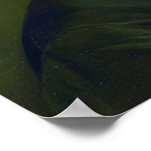 Bouguereau - Miss Elizabeth Gardner 1879 Poster (Ecke)