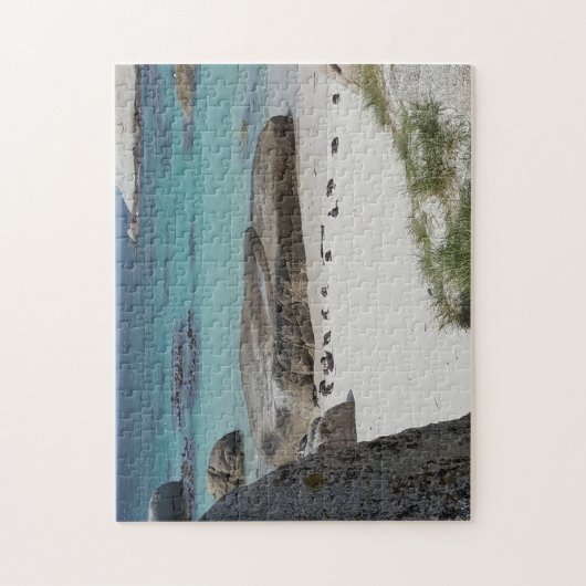 Boulder Beach Capetown Puzzle (Vertikal)