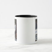 Boulder Falls in Boulder Canyon, Colorado View Tasse (Zentrum)