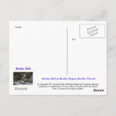 Boulder Falls Postkarte (Rückseite)