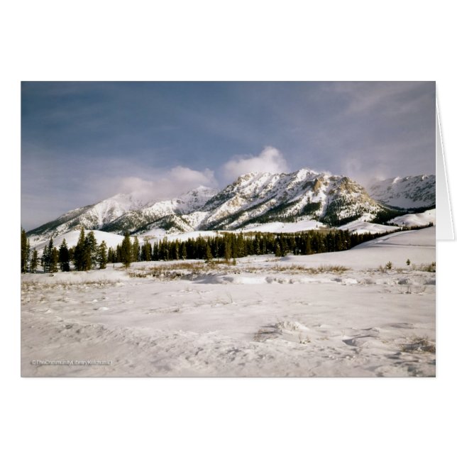 Boulder Mountain View (Vorderseite (Horizontal))