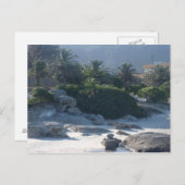 Boulders Beach - Kapstadt Postkarte (Vorne/Hinten)