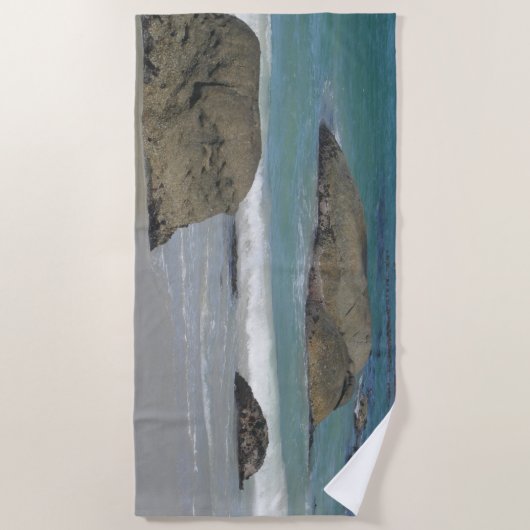 Boulders Beach South Africa Badetuch (Vorderseite)