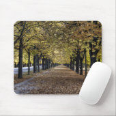 Boulevard der Blätter Mousepad (Mit Mouse)
