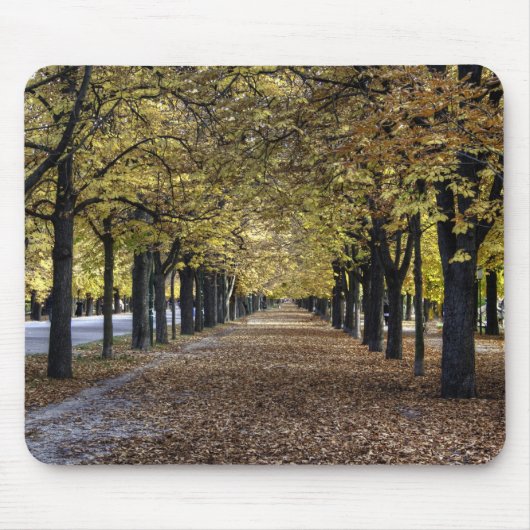 Boulevard der Blätter Mousepad (Vorne)