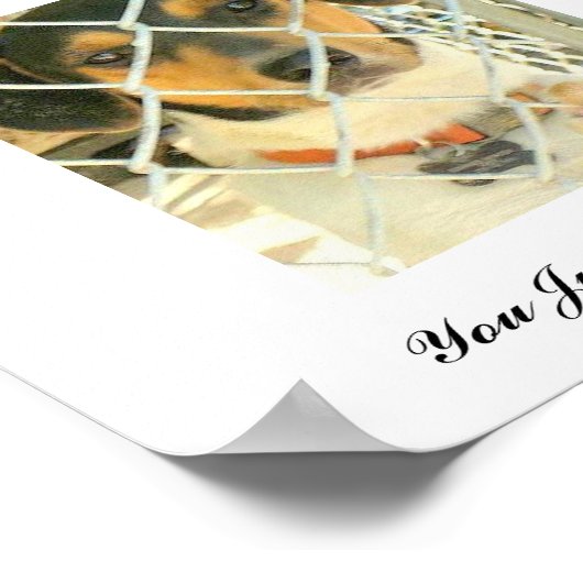 Bouncer Poster (Ecke)