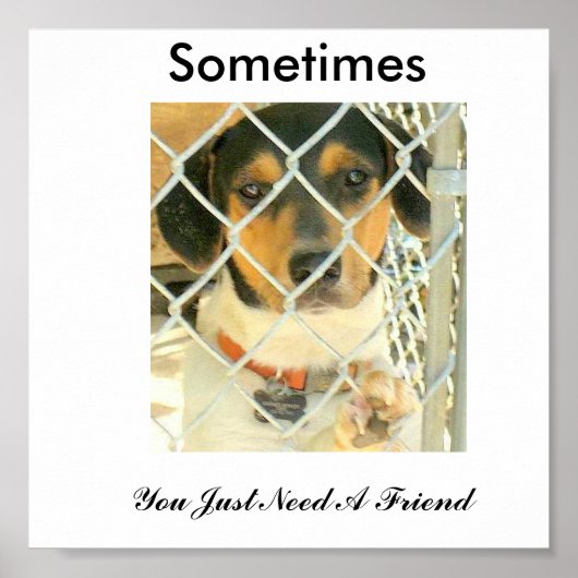 Bouncer Poster (Vorne)