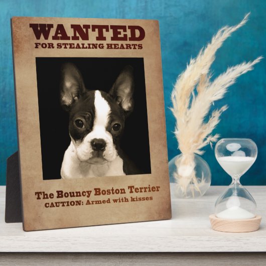 Bouncy Boston Terrier Fotoplatte (Seite)