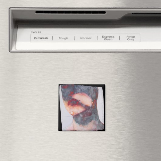 Bound 2007-08 magnet (In Situ (Geschirrspüler))