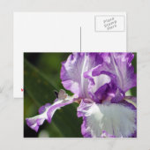 Bountiful Butterfly Iris Fotografie Postkarte (Vorne/Hinten)
