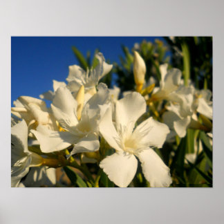 Bouquests und Blauer Himmel Poster