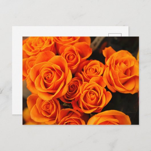 Bouquet blühender orangefarbener Rose Postkarte (Vorne/Hinten)